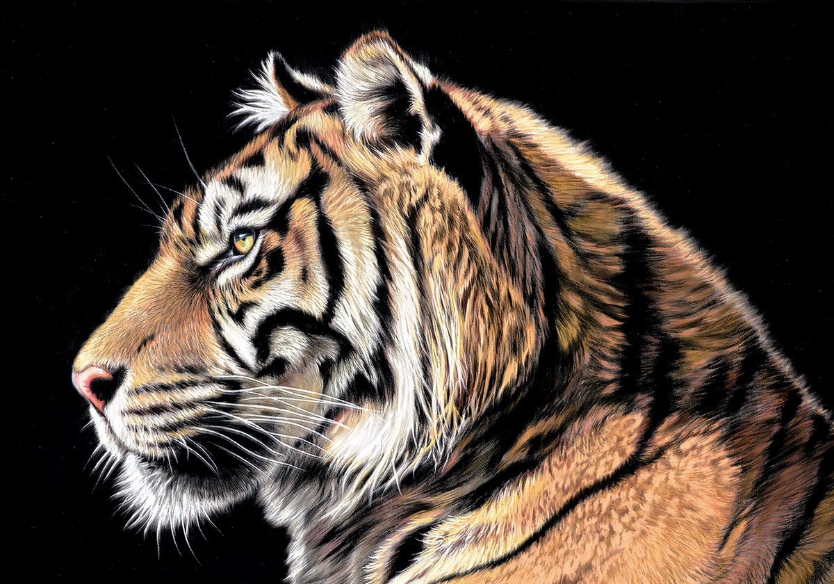 The Wild Side II