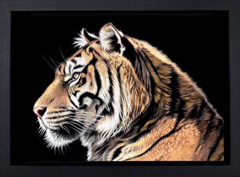 The Wild Side II by Darryn Eggleton - Framed Box Canvas